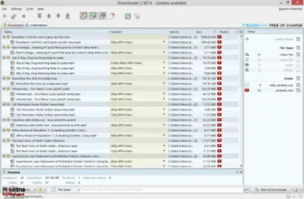 JDownloader