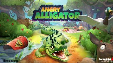 Angry Alligator