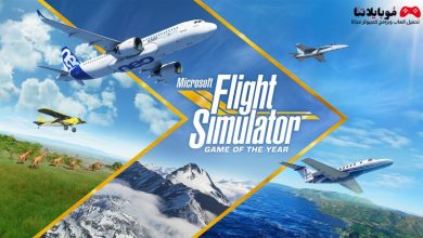 Microsoft Flight Simulator