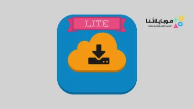 1DM Lite