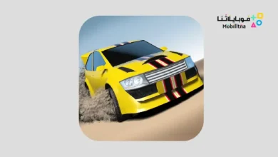 Rally Fury