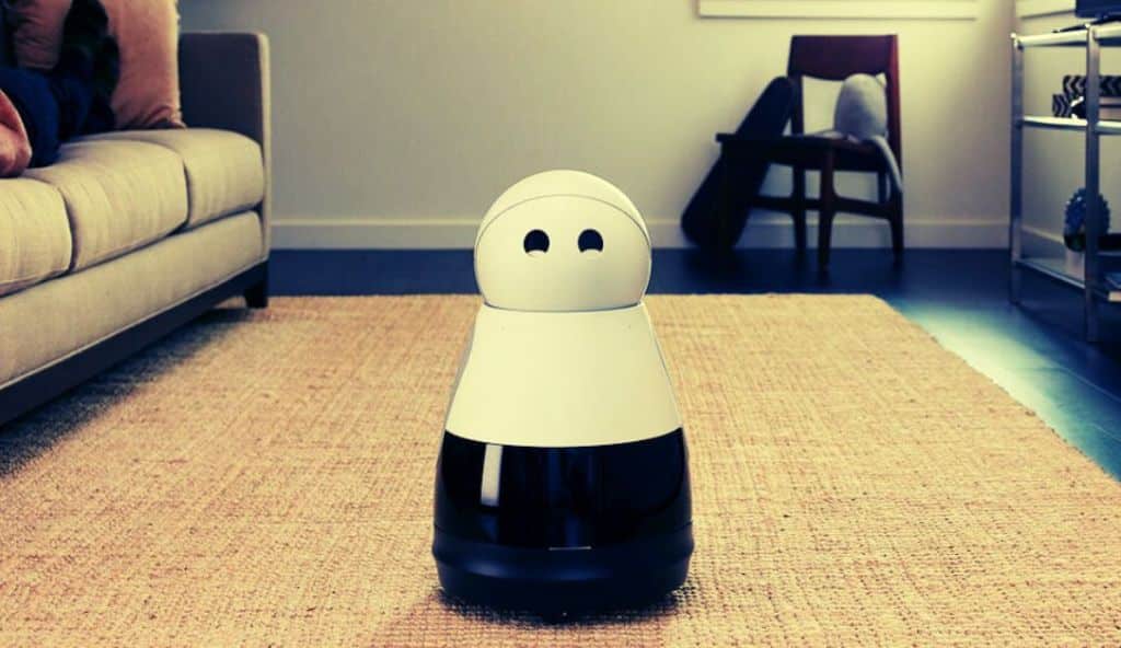 home robot