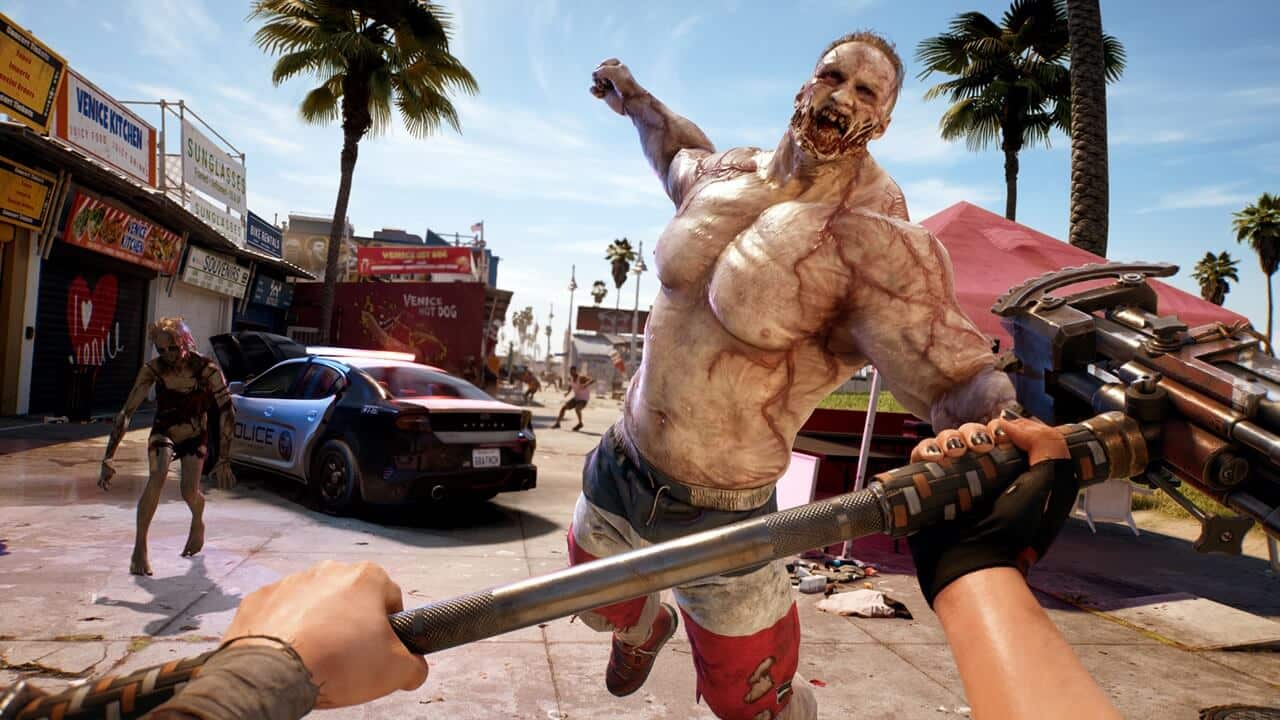 Dead Island 2 Co op