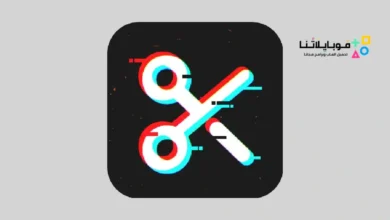 Vidma Editor