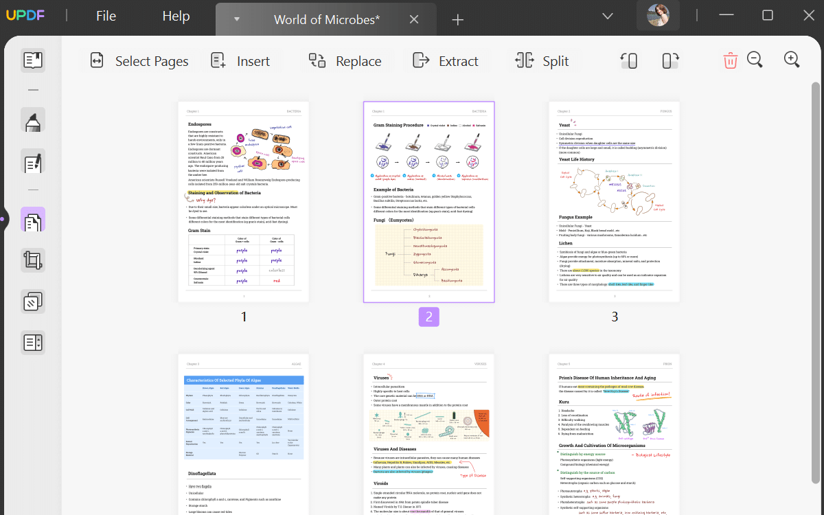 organize pdfs