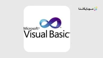 Visual Basic