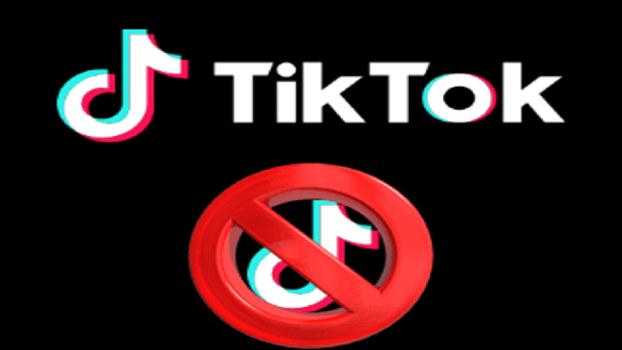 133 213446 algeria warning tik tok 4