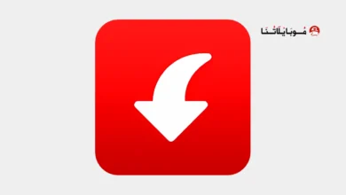 Pinterest Video Downloader