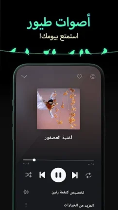تحميل تطبيق النغمات والخلفيات Ringtones for Android مهكر Apk للاندرويد 2025 اخر اصدار مجانا