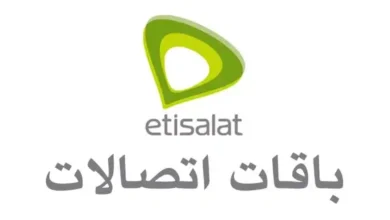 استكشاف باقات اتصالات الشهرية للإنترنت والمكالمات لعام 2025: جميع التفاصيل متاحة الآن