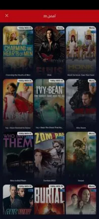 تحميل تطبيق ايجي بست الأصلي EgyBest مهكر Apk للاندرويد 2025 اخر اصدار مجانا