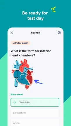 تحميل تطبيق Quizlet Premium مهكر Apk للاندرويد 2025 اخر اصدار مجانا