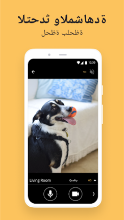 تحميل تطبيق Alfred Camera مهكر Apk للاندرويد 2025 اخر اصدار مجانا