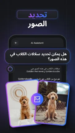 تحميل تطبيق Gemmy AI مهكر Apk للاندرويد 2025 اخر اصدار مجانا