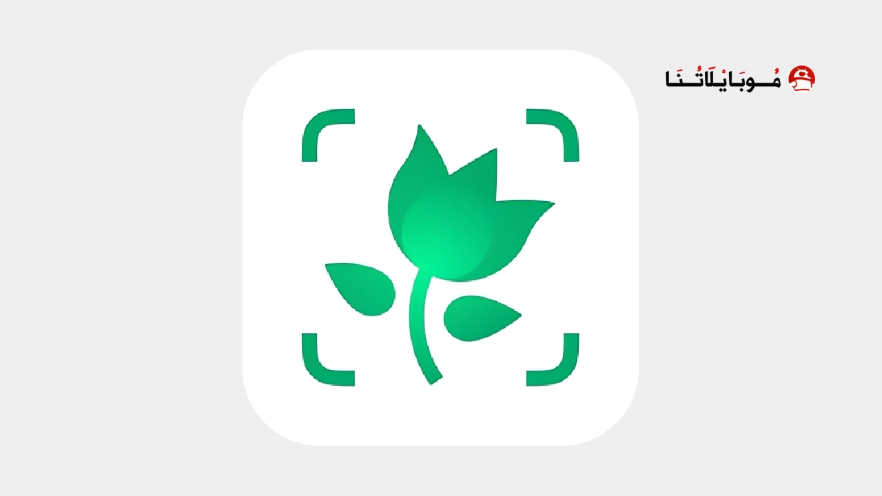 تحميل تطبيق PictureThis مهكر Apk للاندرويد 2025 اخر اصدار مجانا تحميل تطبيق PictureThis مهكر