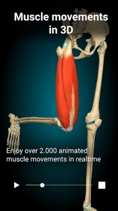 تحميل تطبيق Anatomy Learning مهكر Apk للاندرويد 2025 اخر اصدار مجانا