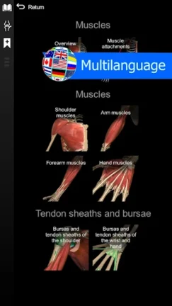 تحميل تطبيق Anatomy Learning مهكر Apk للاندرويد 2025 اخر اصدار مجانا